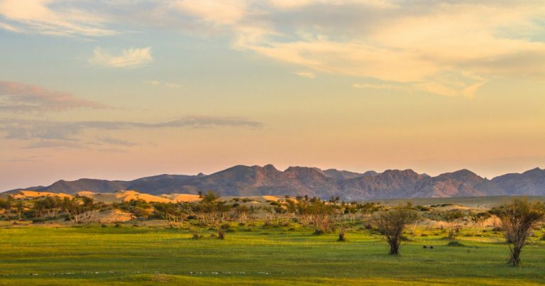 Elsen Tasarkhai sand dune