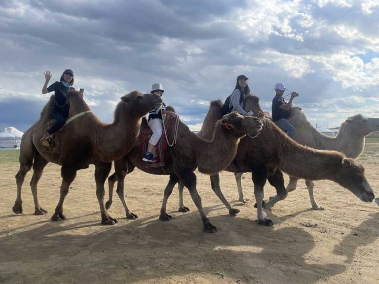 Elsen Tasarkhai sand dunes located in central Mongolia