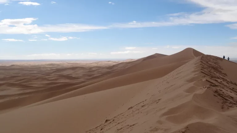 Khongor sand dunes (Khongoriin els)