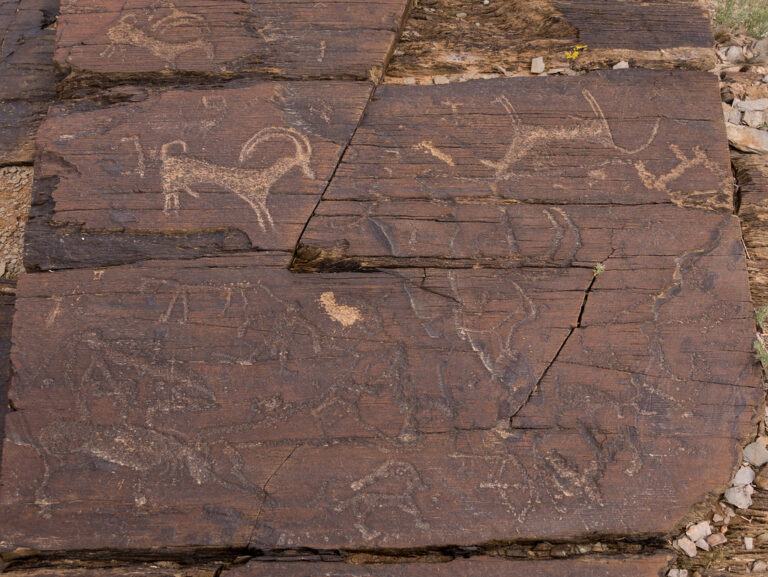 Petroglyphs in western Mongolia