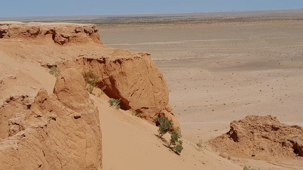 flaming cliffs of Gobi desert (Bayanzag).