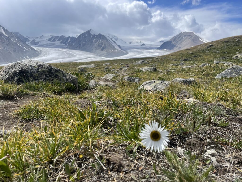 Potanini glacier in Mongolia