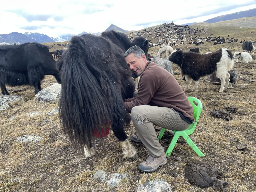 White river valley in western Mongolia