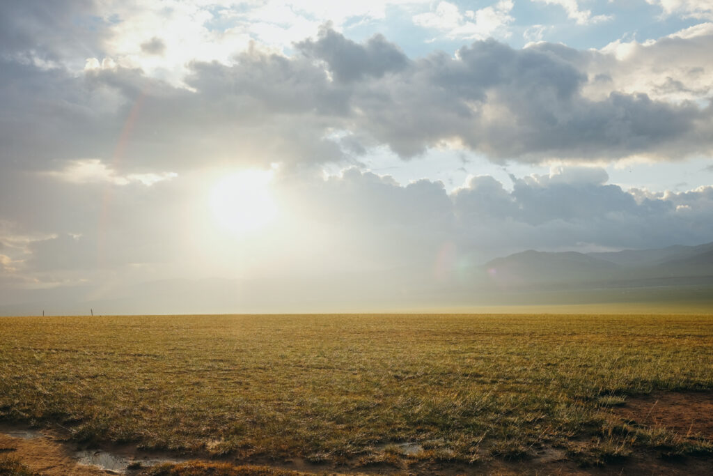 Menen steppe