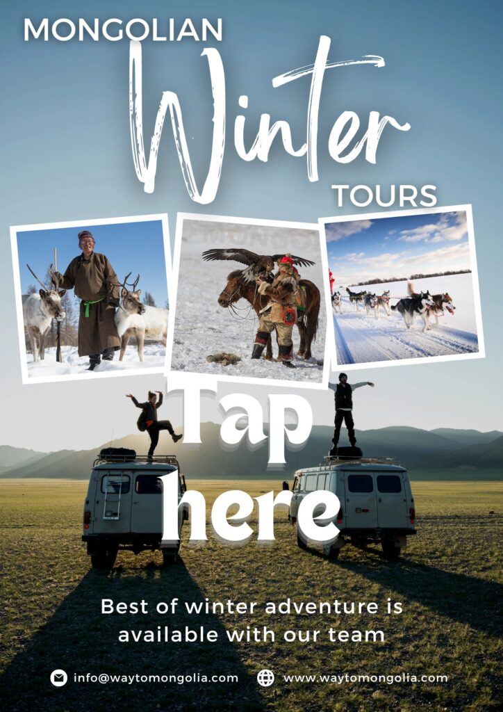 Mongolian winter tours