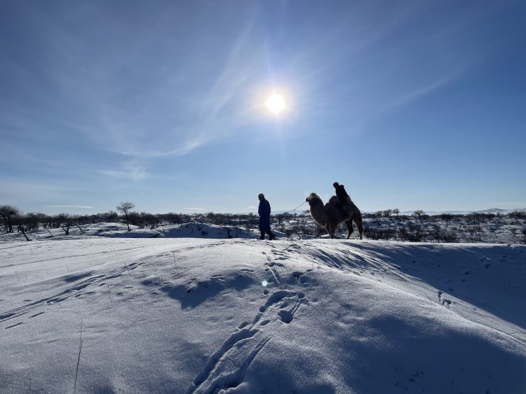 What to do in Mongolia during the winter